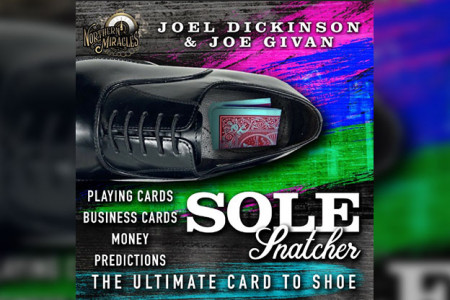 Sole Snatcher - joel dickinson