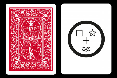Smiley ESP Unit Card (5 Symbols)