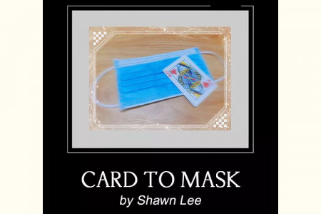 Carte en masque - shawn lee​