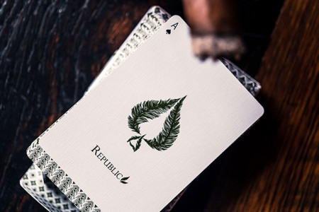 Republics: Jeremy Griffith Edition Playing cards