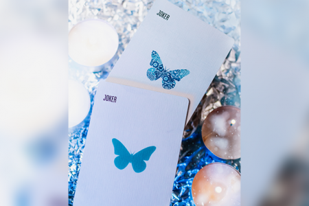 Butterfly Seasons Marked Playing Cards (Winter) by Ondrej Psenicka