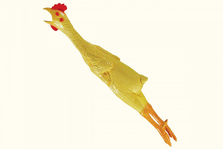 Rubber Chicken