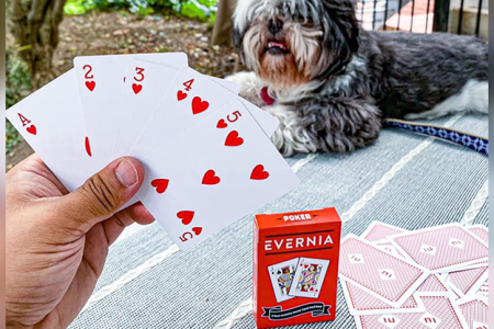 Evernia Playing Cards