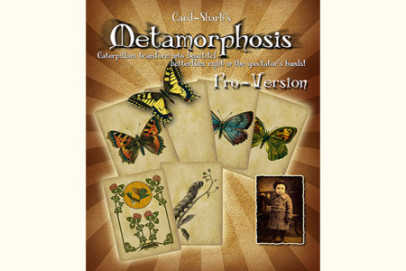 Metamorphosis Pro-Version