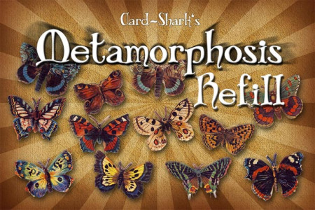 Metamorphosis (Version Pro) Recharge