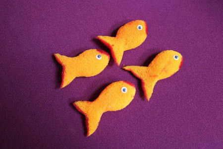 Sponge Goldfish