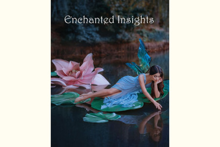 ENCHANTED INSIGHTS