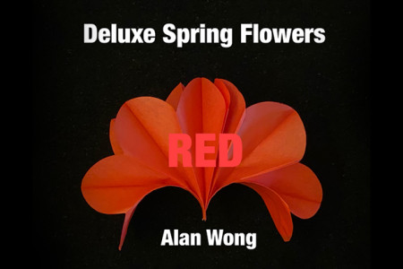 Fleurs à ressort Rouges (par 16) + 2 Chargeurs - alan wong