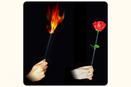 Torche en rose