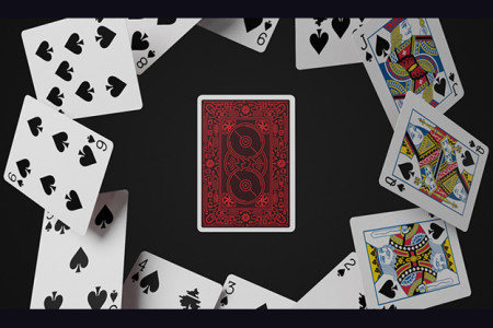 404 Playing Cards