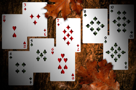 Secret Tale of Robin Hood: Black Owl Playing Cards