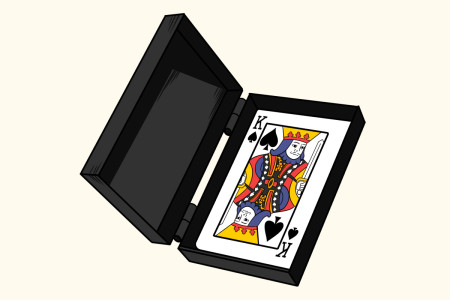 Miracle Card case - Format Bridge (par 12)