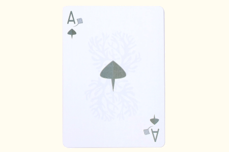 Gilded Bicycle Stingray (Teal) Playing Cards