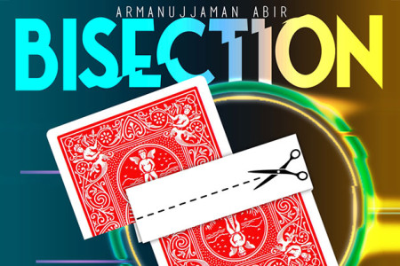 Bisection