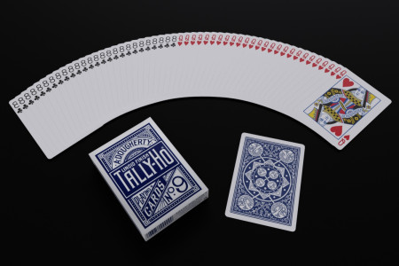 Forcing TALLY-HO Fan Deck 2x26