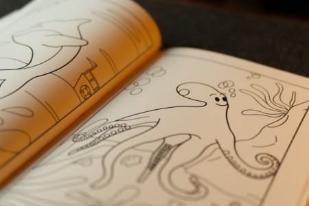 Le Livre Magique des Animaux Papier Glassé (Moyen) Le Livre Magique des Animaux Papier Glassé (Moyen)