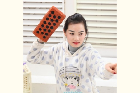 Foam Brick with Holes