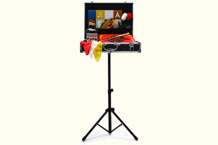Standing storage case