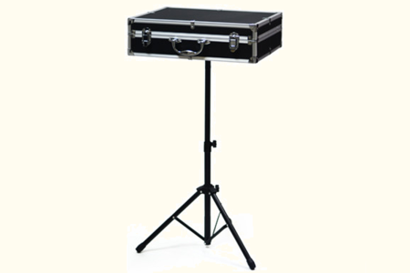 Standing storage case