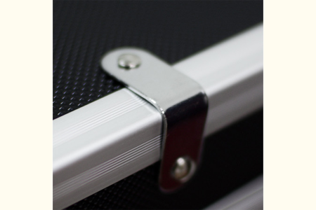 Standing storage case