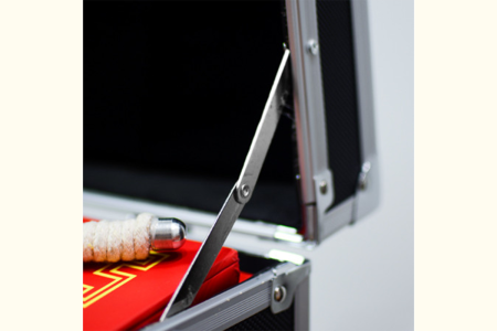 Standing storage case