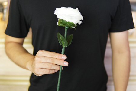Rose Silk