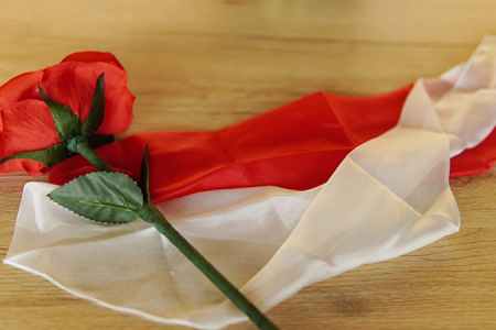 Rose Silk