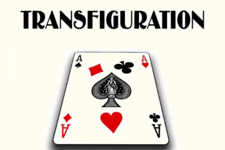 Transfigurations - mickael stutzinger Transfigurations - mickael stutzinger