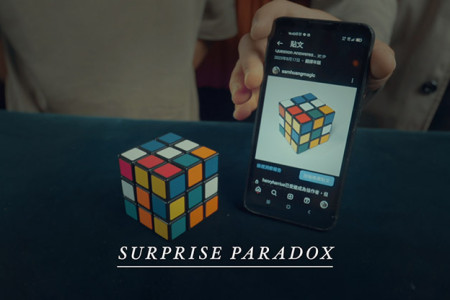 Crazy Sam's Paradox Cube