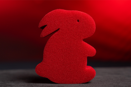 Magic Sponge Bunny Rabbit Set (Red)