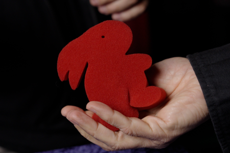 Magic Sponge Bunny Rabbit Set (Red)