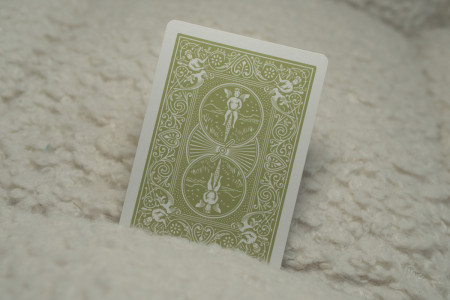 Jeu Bicycle Gino le Croco