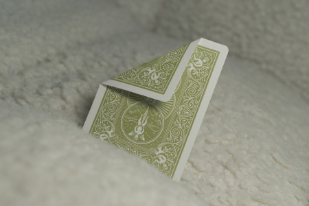 Jeu Bicycle Gino le Croco