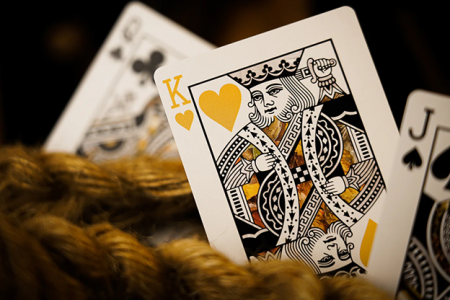 Forest elf Owl Playing Cards