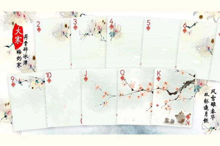 Bicycle Seasons (Winter Edition) Playing Cards