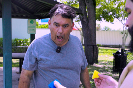 Prismatica Prismatica