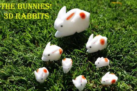The Bunnies! 3D Rabbits