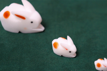 The Bunnies! 3D Rabbits