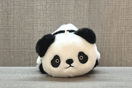 Morphing Plush (Panda et Raccoon)