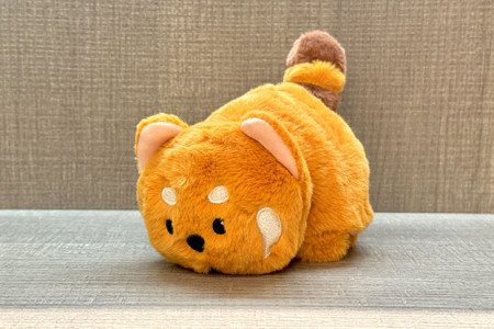 Morphing Plush (Panda et Raccoon)