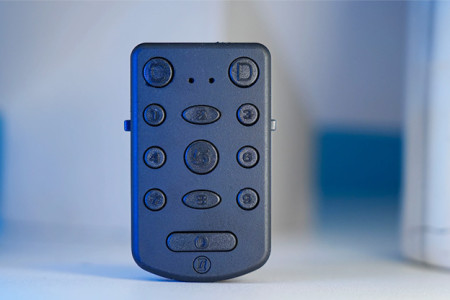 PITATA Palm Remote
