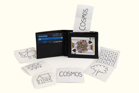 Cosmos Cosmos