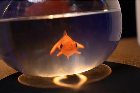 Production d'un Aquarium