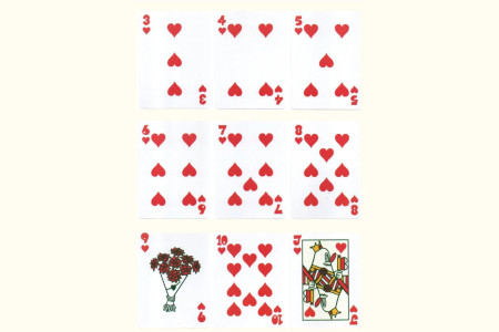 Bicycle Koichi Yairi Playing Cards Bicycle Koichi Yairi Playing Cards
