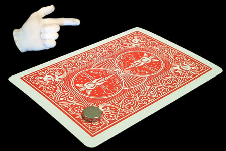 Round Magnet (8 x 2 mm)