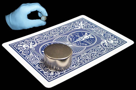 Round Magnet (20 x 10 mm)