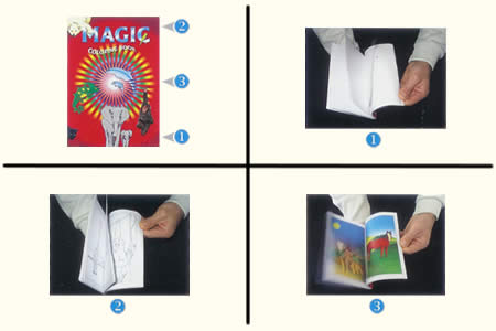 Animal Magic Book