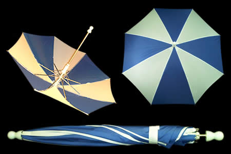 Blue and White appearing umbrella - unit