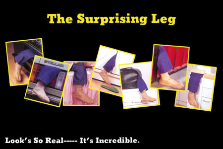 Surprising Leg