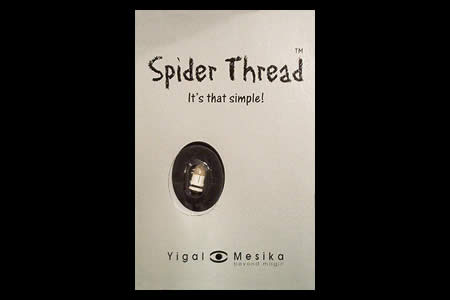 Spider Thread - yigal mesika
